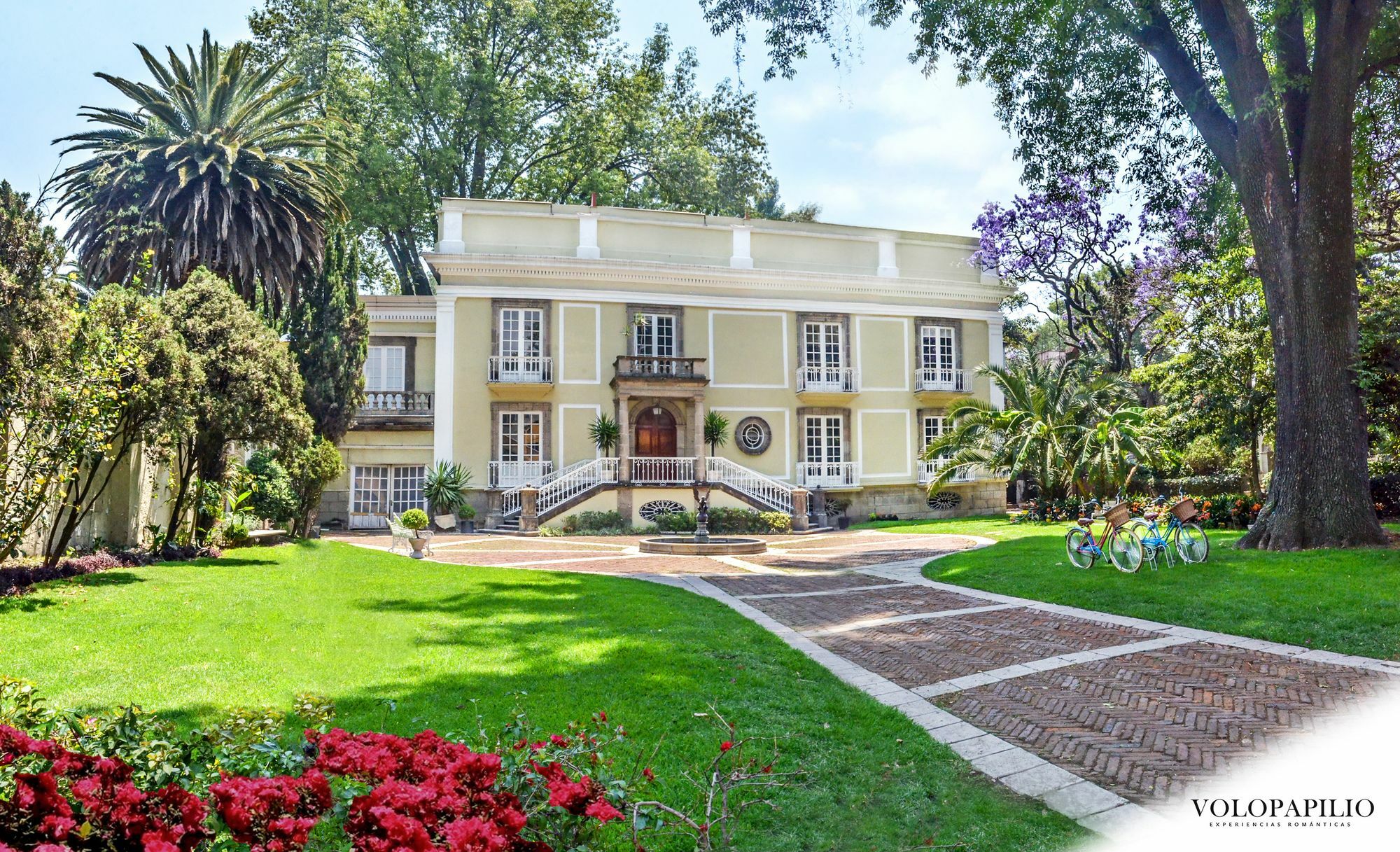 Bed and Breakfast Mansion Papilio Mexiko-Stadt Exterior foto